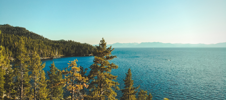 More than 40 percent of threatened or endangered species are at a greater risk due to aquatic invasive species. The damage caused by invasive fish is estimated to cost the U.S. $5.4 billion each year. nmma.org/advocacy/issue…