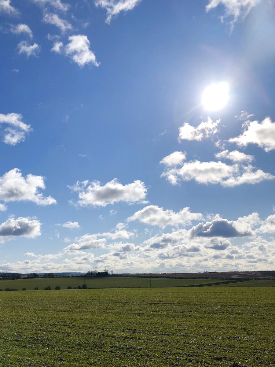 yellowbelly77's tweet photo. Another glorious day out in the Lincolnshire Wolds this morning - great walk! @LincsWoldsAONB @LoveLincsWolds @LincsRuralCrime @LincsFM @LincsSkies https://t.co/gdEV0qxlYr
