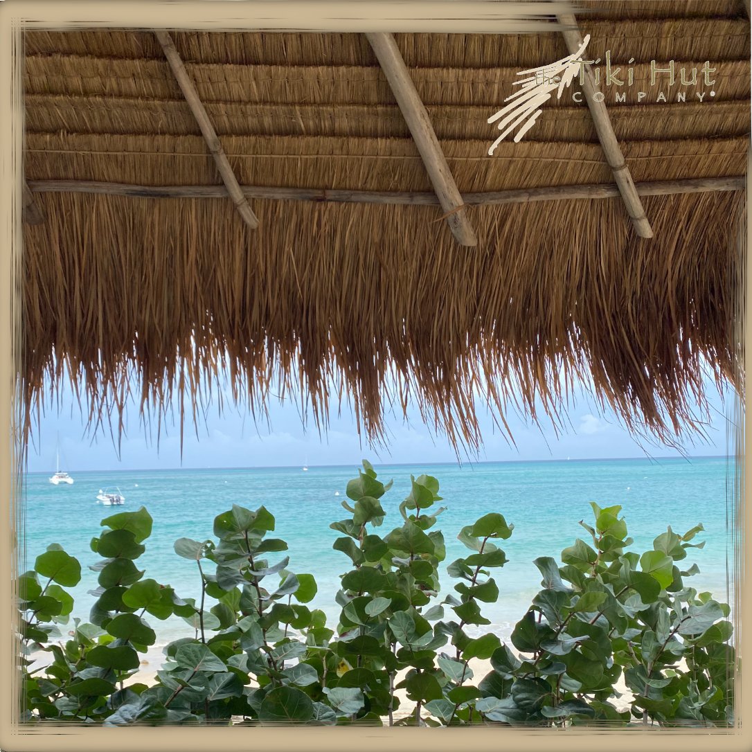 Tropical Tiki Hut Views, nothing but the best!  😍
