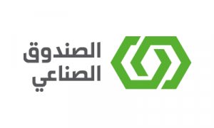الصورة