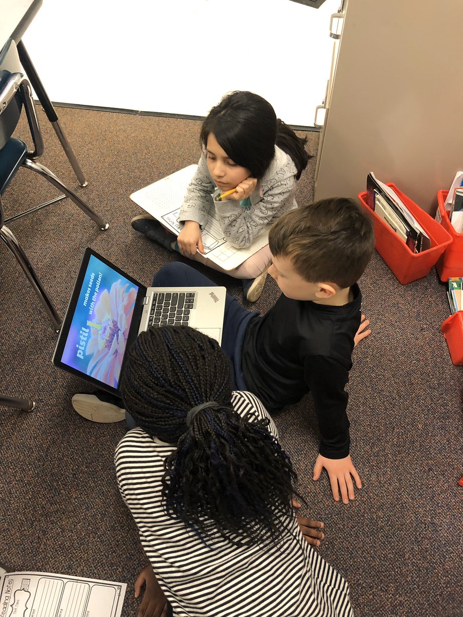 Blair Davidson tweet media