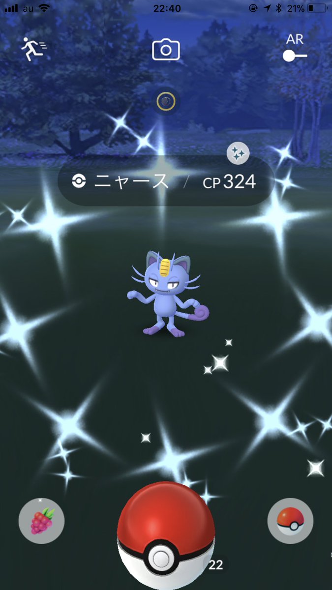 凛子 今日コピーリザードンには逃げられましたが100 ピカチュウゲット こないだフカマルも来てくれて さらに今さっき色違いニャース 二匹目なのでペルシアンに進化 ポケモンgo 色違いポケモン