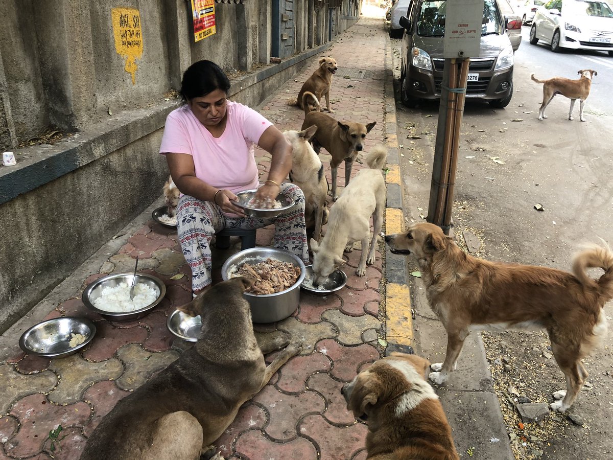 chiefharry's tweet image. @NidhiVats15 #pricelesswork #feedingroutine #feelgoodfactor #DailyLife #godsownpeople #