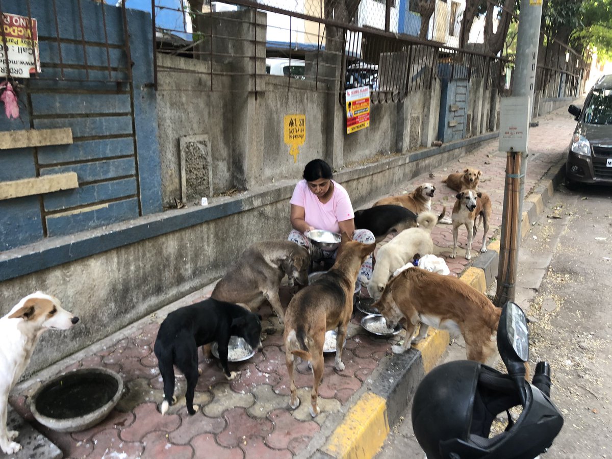 chiefharry's tweet image. @NidhiVats15 #pricelesswork #feedingroutine #feelgoodfactor #DailyLife #godsownpeople #