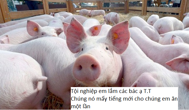 Quanh cute tweet media