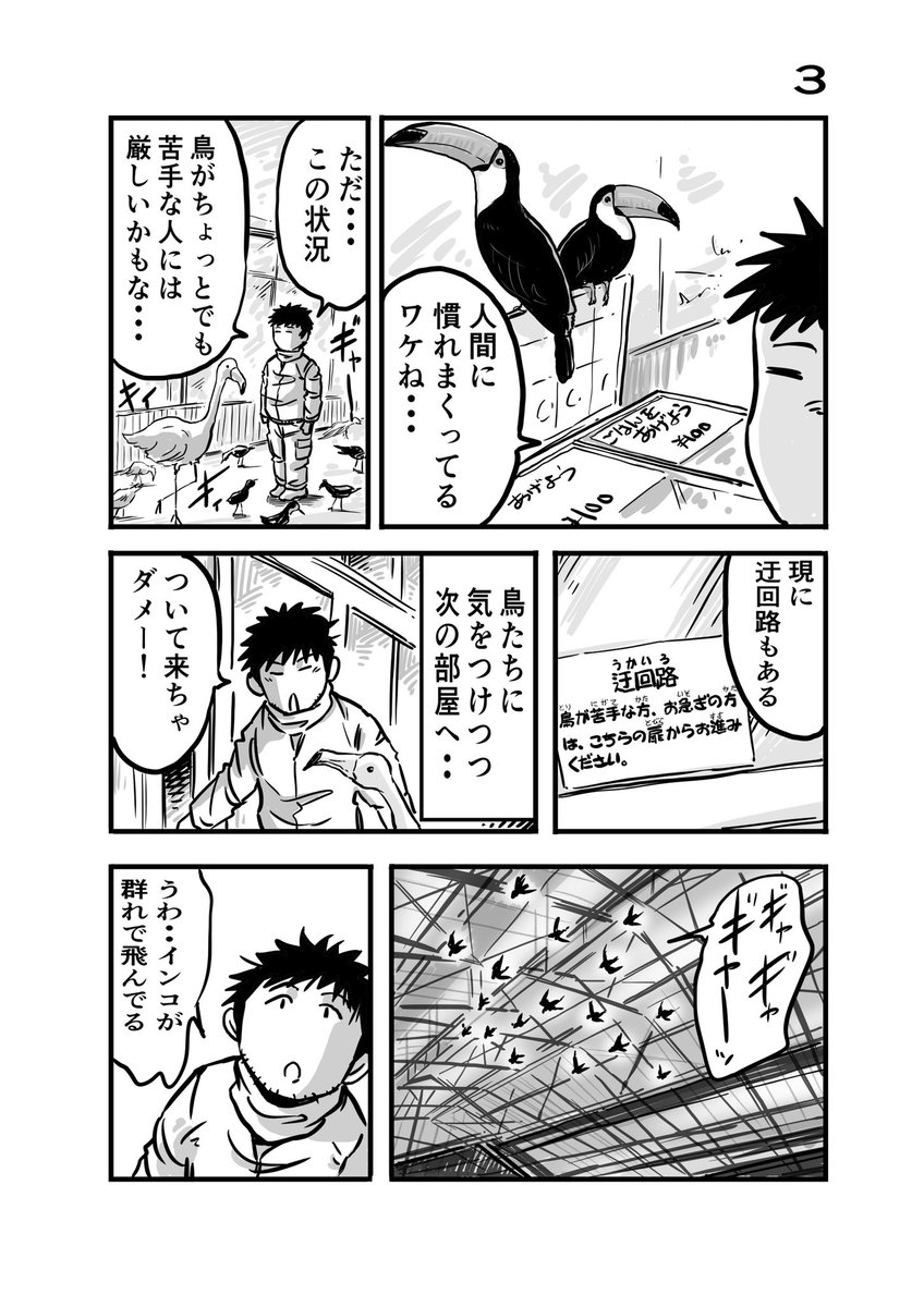 離婚して車中泊になりました12
#車中泊 #エッセイ漫画 #掛川花鳥園 