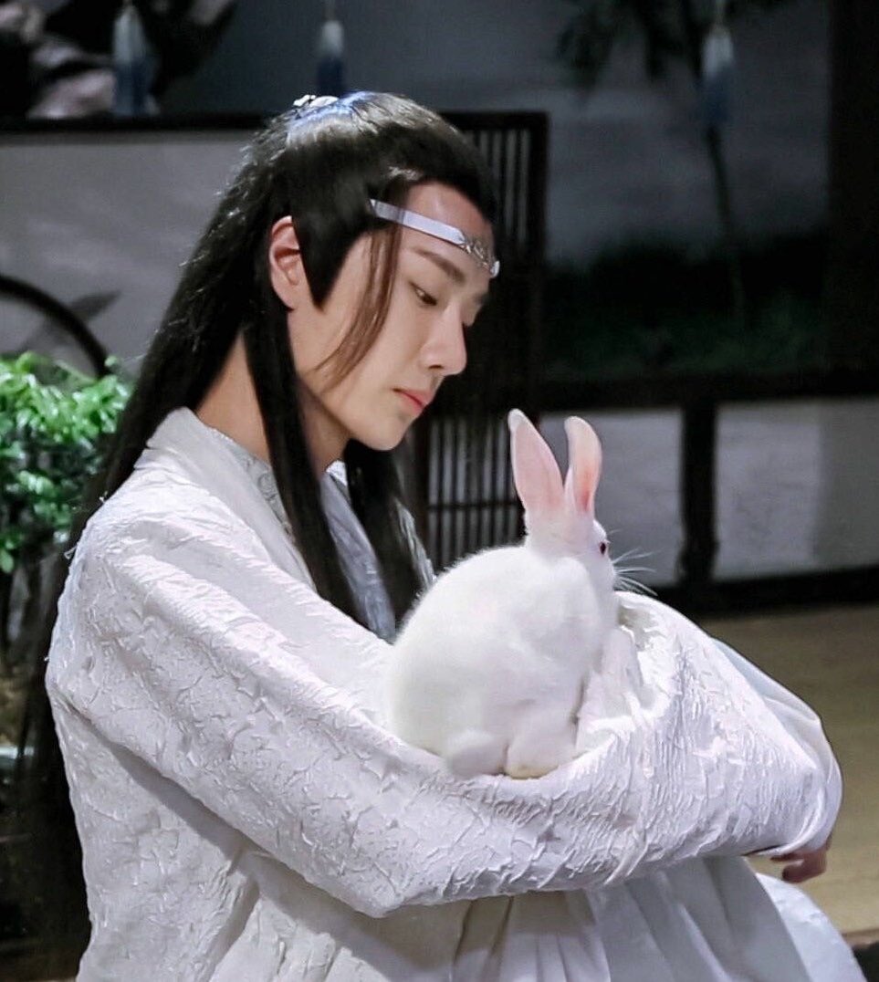 I’ll end with the two lonely lan sect gays and their pet rabbits.