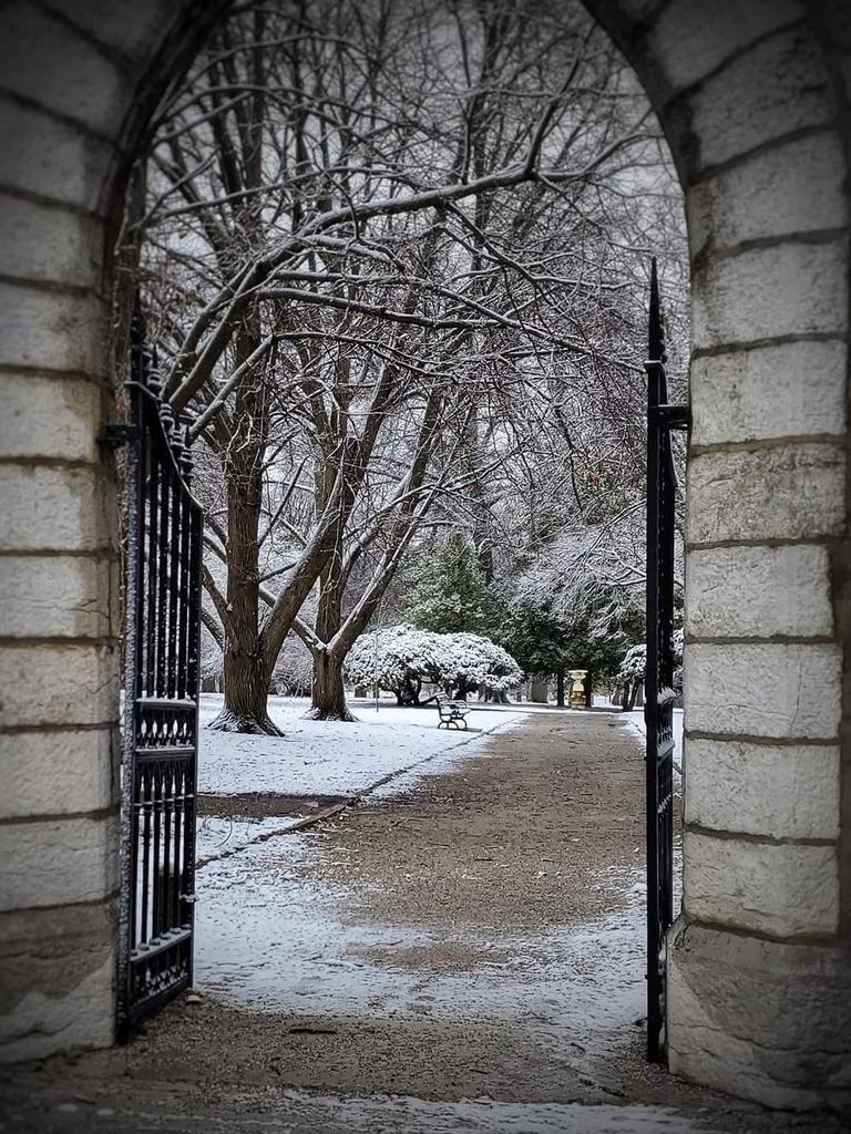 HartfordCoffee's tweet photo. Some days this bench just isn't very appealing - come enjoy your coffee where it's warm! #TGS #snowyday @TowerGrovePark https://t.co/0nIXVTGlmk