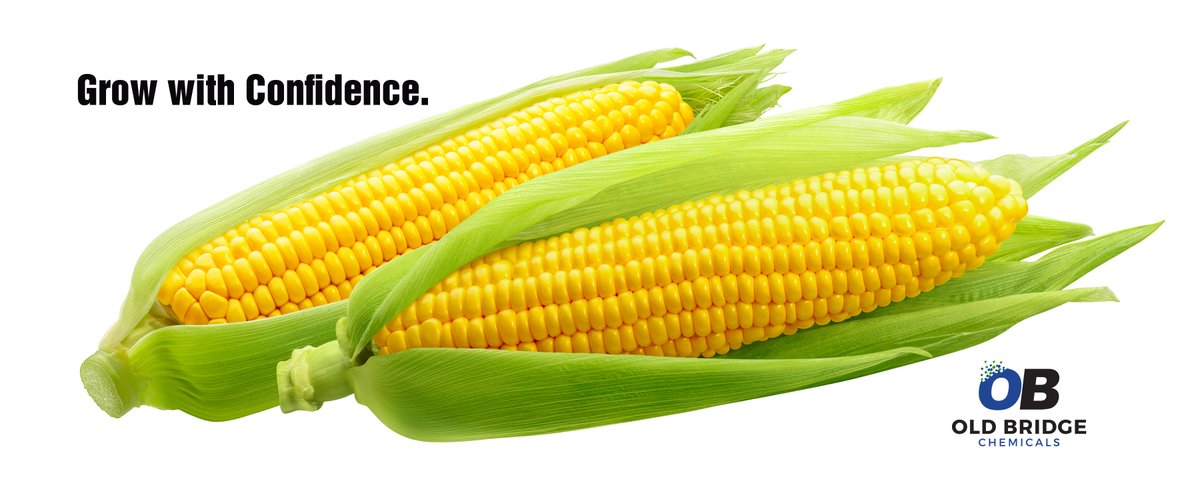 OldBridgeChem's tweet photo. #DidYouKnow that corn is grown in every state with IL, IA, NE &amp; MN producing >1/2 of our nation's crop!* That's a lot of #fertilizer requiring #OnlyTheBest #copper and #zinc compounds! 
#GrowWithConfidence #WednesdayWisdom #agriculture https://t.co/gknBKF41No  
*beef2livecom https://t.co/zV4aixJnd4