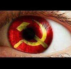 ngok_anhs's tweet photo. Về phẫu thuật lại cái nết nha mấy anh mấy chị
#KoreansApologizetoVietnam https://t.co/sUcbjRGbZp
