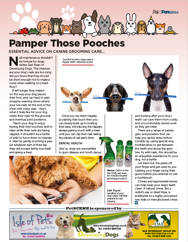 Fen_SCENE's tweet photo. Advice for Pampering the Pooches..
Essential advice on canine grooming care, just like humans dogs need a regular teeth-cleaning routine...
@Fen_SCENE @IsleofPets #dogs #carefordogs #doggrooming #dentalhealth #dogadvice https://t.co/rvEeATASk5