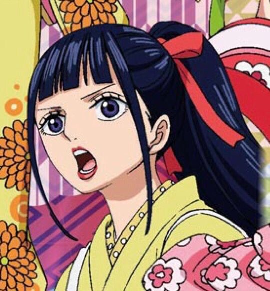 ワンピース お菊の正体や性別は 赤鞘九人男との関係を考察 5ページ目 Selvy