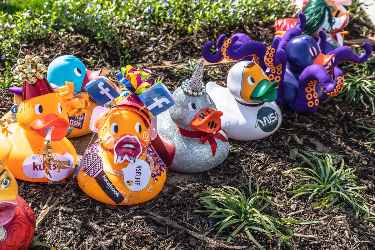 Thank you to <a href="/socialvalueport/">Social Value Portal</a>, @CuckooAgency and <a href="/adeptcorporate/">Adept Corporate Services</a> who have bagged their corporate ducks!
The money raised from one #mcrduckrace corporate duck could help towards the cost of a child &amp; their family attending a Brainwave Centre - starting their Brainwave journey!🎈