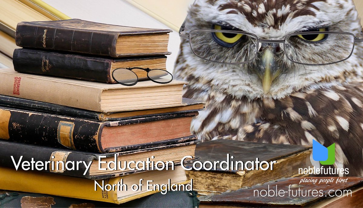 noblefutures's tweet photo. Our clients, a leading education provider are looking for a qualified Vet to join their team as a Veterinary Education Coordinator. See https://t.co/wGxunNuusg Ref 21429 for full details.
#animalhealthjobs #recruitment #noblefutures https://t.co/okqyXx97lz