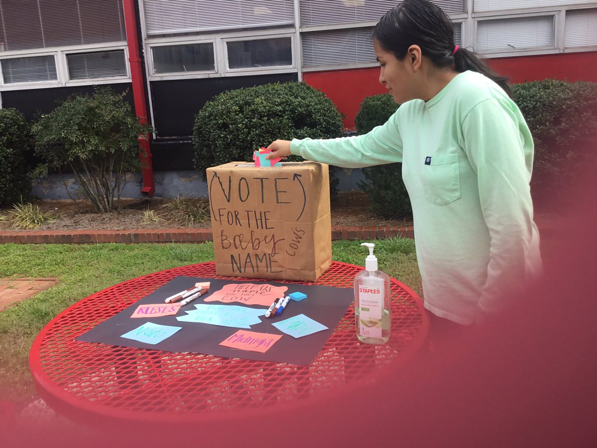 We voted Nado for the calf’s name <a href="/southrowanFFA/">South Rowan FFA</a> 
Go vote to! #Nado