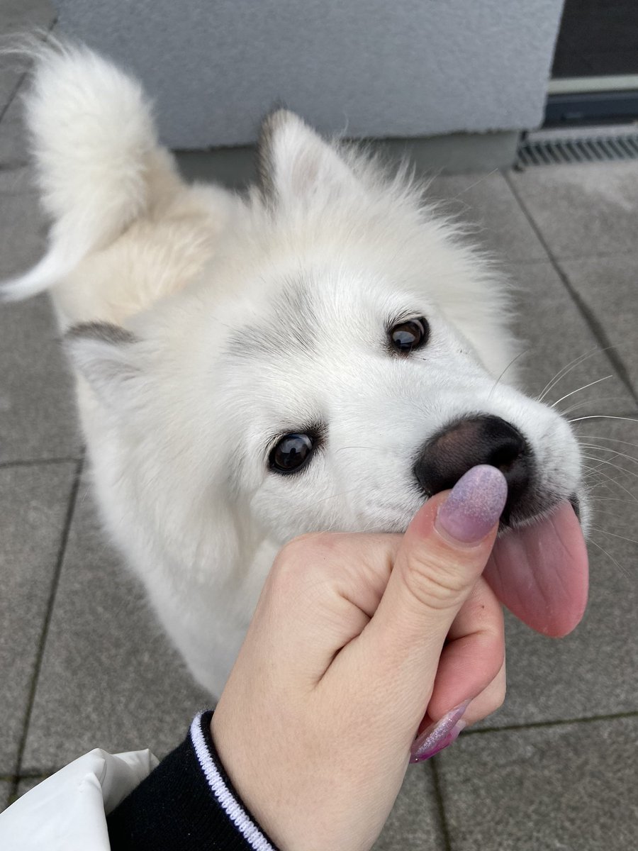 KirothePupper's tweet photo. https://t.co/SqWw6OXRsA