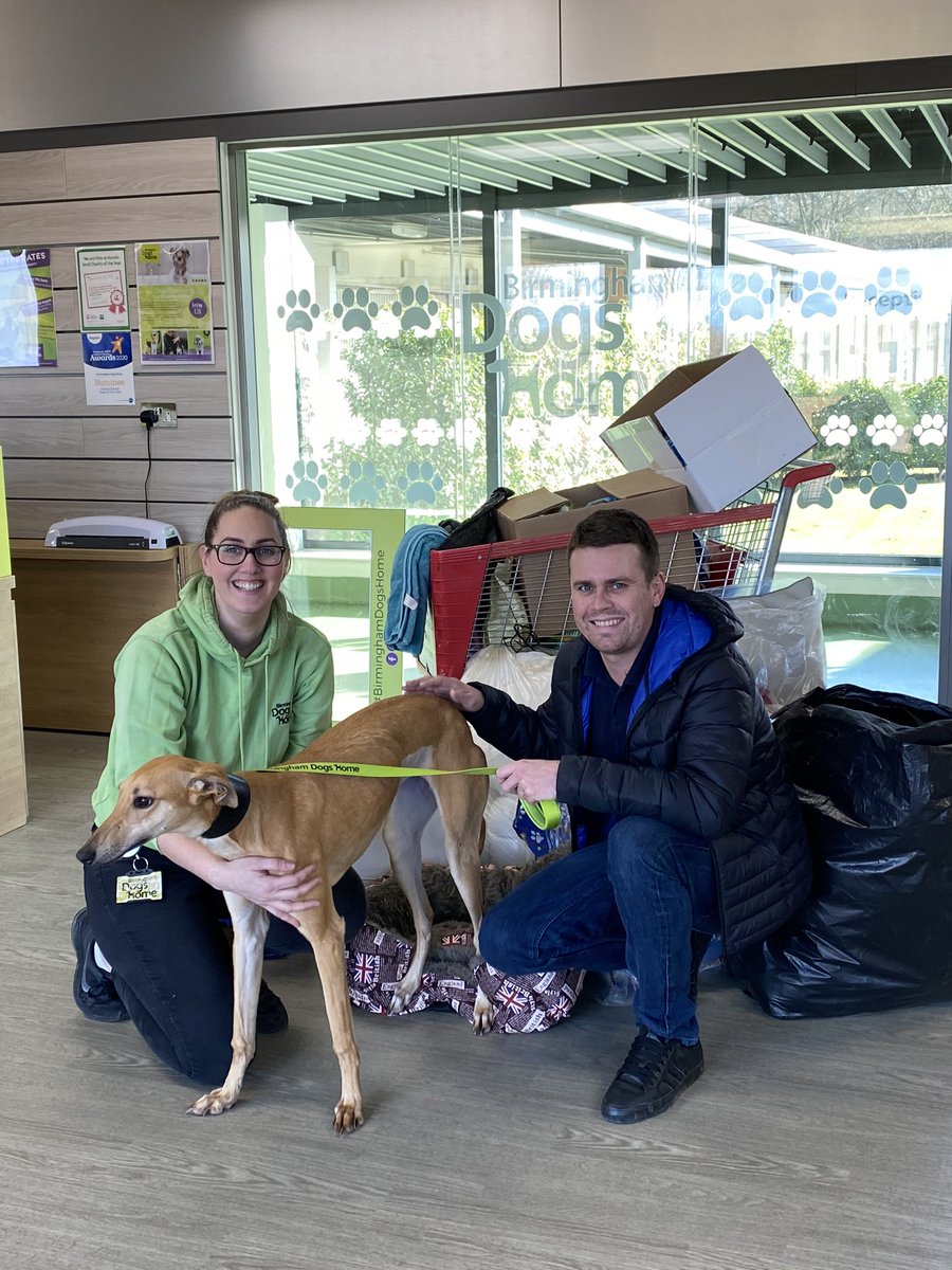 BhamDogsHome's tweet photo. A big thank you to @RollsRoyce  Solihull team for their very generous donation of doggie items which were dropped off today. They got a tour of the centre and also met with Sandy pictured below. Thank you! #supportmatter #bdh #birminghamdigshome https://t.co/7AQJIAcQ9k