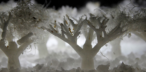 Cambridge_Fest's tweet image. Art and science, are they so different? Come and see where they converge at these #CamSciFest events:

The Cambridge LASER: sciencefestival.cam.ac.uk/events/cambrid…

Art and science for a future planet: sciencefestival.cam.ac.uk/events/art-and…

The art of scientific imaging: sciencefestival.cam.ac.uk/events/art-sci…