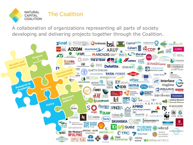 elleprovocateur's tweet photo. Mark Gough, former Head of Sustainability at The Crown Estate, (#NetPositive convener) today serves as Executive Director of the Natural Capital Coalition, also at helm of #NewDealForNature.
#2020SuperYear
#Avaaz https://t.co/8Ye8IBdfc6