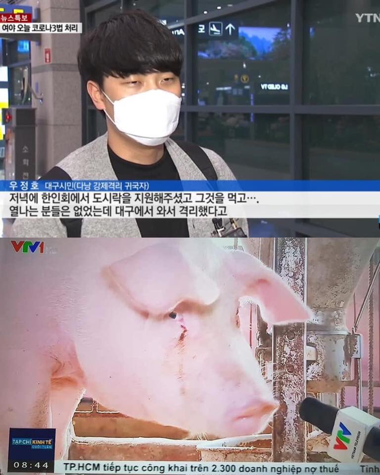 ho_kaylin's tweet photo. @YTN24 물에 빠진 놈 건져 놓으니 보따리 내놓으라 한다. 
사과해!!!!!! #KoreansApologizetoVietNam
#YTN_사과해
You misrepresented all about our goodnesses
Just tell the truths
#베트남을존중해 clm hỏng hỉu lun :)) kh muốn cách mấy tiếng ăn một bữa?? Bộ con lợn hay gì ? https://t.co/BTKS2RFQU6