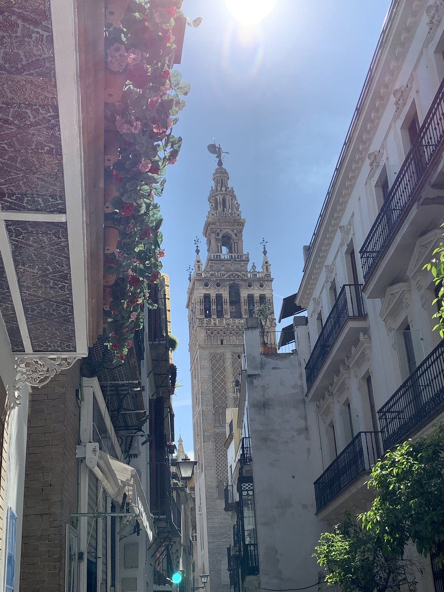 Luis Mejías tweet media