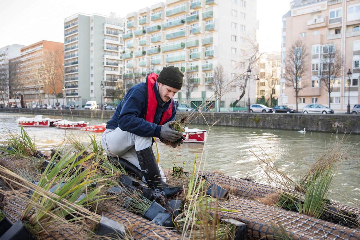 Paris's tweet photo. Un radeau végétalisé a été installé sur le canal de l’Ourcq (#Paris19). L’îlot de 35 m² est recouvert de 350 plantes de 4 espèces. Il est aussi équipé de casiers remplis de coquilles d’huître, un refuge pour la #biodiversité subaquatique. 

🦆 https://t.co/pwZXwKRQQS https://t.co/oqLLxoUhyz