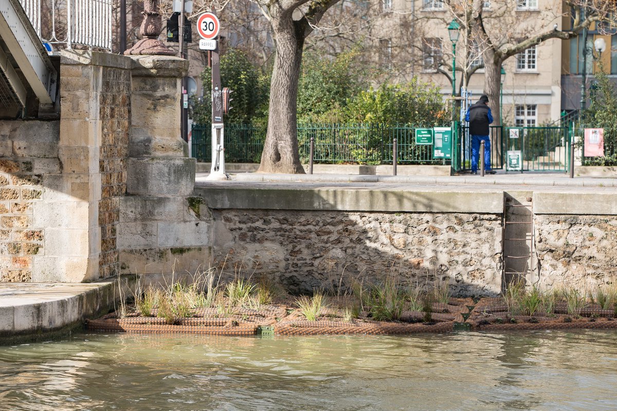 Paris's tweet photo. Un radeau végétalisé a été installé sur le canal de l’Ourcq (#Paris19). L’îlot de 35 m² est recouvert de 350 plantes de 4 espèces. Il est aussi équipé de casiers remplis de coquilles d’huître, un refuge pour la #biodiversité subaquatique. 

🦆 https://t.co/pwZXwKRQQS https://t.co/oqLLxoUhyz