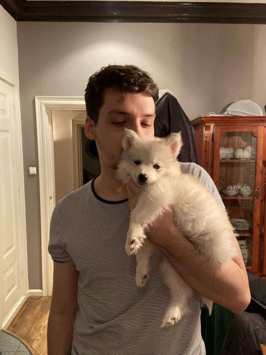 KirothePupper's tweet photo. https://t.co/vRtzjH4BIj