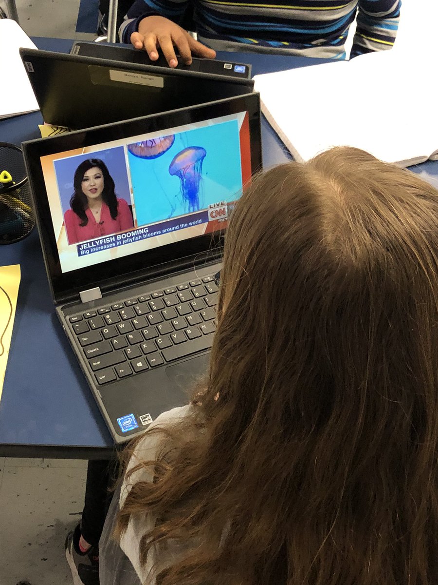 MrJacksonsWorld's tweet photo. Holy #writingengagement! After reading some fic/nonfic texts about #jellyfish & talking about different features of texts/genres, kids wrote their own version of a jellyfish text. Kids wrote stories, nonfiction articles after researching, graphic novels, plays, poems, and more! https://t.co/Fm1zw4BCMT