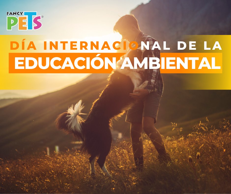 fancypetsmx's tweet photo. Día Internacional de la Educación Ambiental. 🌿🌱🌴🌳🌲☘️🍀 
Se conmemora para hacer conciencia ante la crisis civilizatoria que vivimos. Leer más: https://t.co/iQzqTaoJ4p https://t.co/tBSGzFcY8J