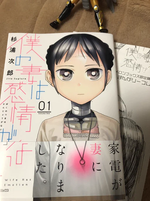 僕の妻は感情がない
表紙と帯でむっとなって買った
良かった 