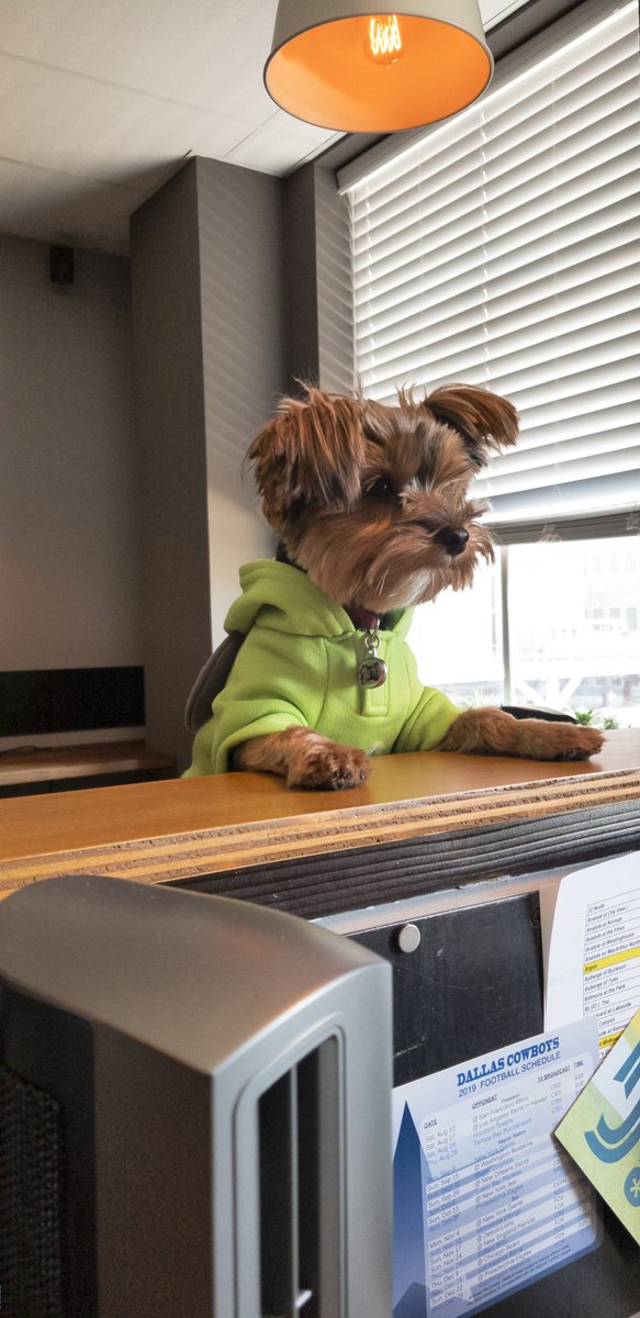 When you really want to go for a walk but your work priorities get in the way...