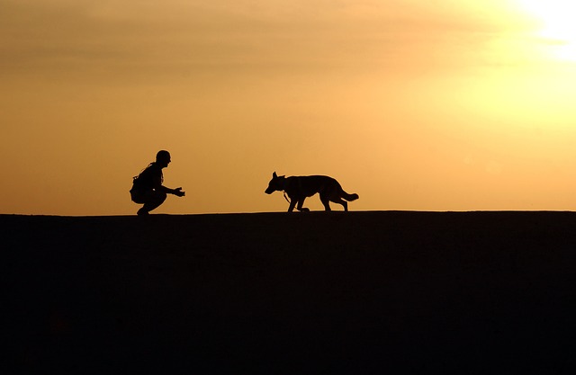 AdamsK9LLC's tweet photo. So you want to be a dog trainer?

...

I love What I Do and You Will Too! | Adams K-9 Dog Training &amp; Kennel https://t.co/xkaqk7Sb0A https://t.co/GHoAZqjAUy