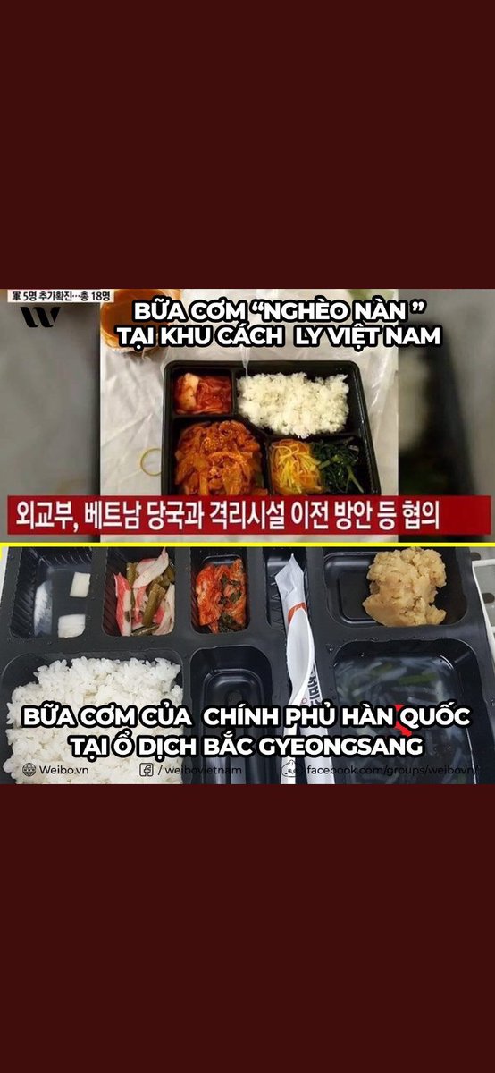 lucass_green's tweet photo. #KoreansApologizetoVietnam các bạn chỉ giỏi coi thường người khác vậy thôi sao #Vietnamdidwell đời sống cao mà dân trí thì thấp #KoreanStopLying hãy biết mình là ai và mình đang ở đâu đi ạ #베트남을존중해 https://t.co/cESgfytYG5