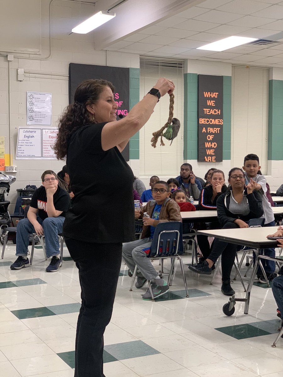 FairmeadowsElem's tweet photo. Thanks to all the families and students that attended our #MathAndScienceNight yesterday! Hopefully you enjoyed learning about all of the unique animals with our “All About Animals” presenter! https://t.co/udG2Hqgspk