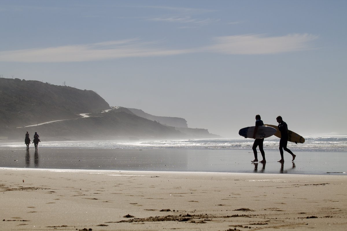 ShakaSurfMoroc's tweet photo. W E E K E N D
S C E N E S
-
#Morocco #weekend #saturday #surfscenes #taghazout #tamraght #morocco #surftrip #surfsessions #surfholiday #surftime #surfspots #surflessons #surfschool #surfing #surfers #learntosurf #morocco #beach #sun #sea https://t.co/2yPhjTwHoZ