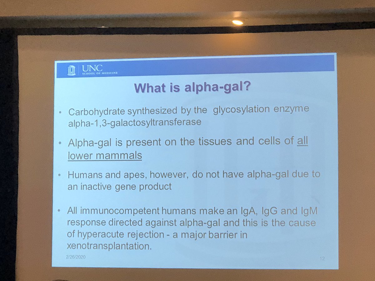 liv_lyme's tweet photo. Day 2 of #vectorweek2020. Dr.@scott_commins discussing Alpha-Gal. “Alpha-Gal is a public health threat.” - Dr Ben Beards of @CDC_NCEZID. 💚 @khoney @TBCU2018 @cohengive @MLDSEmaine @ProjectLyme @BayAreaLyme @danaparish @Lymenews @DrOz @LewsView https://t.co/qOR8ZzourW