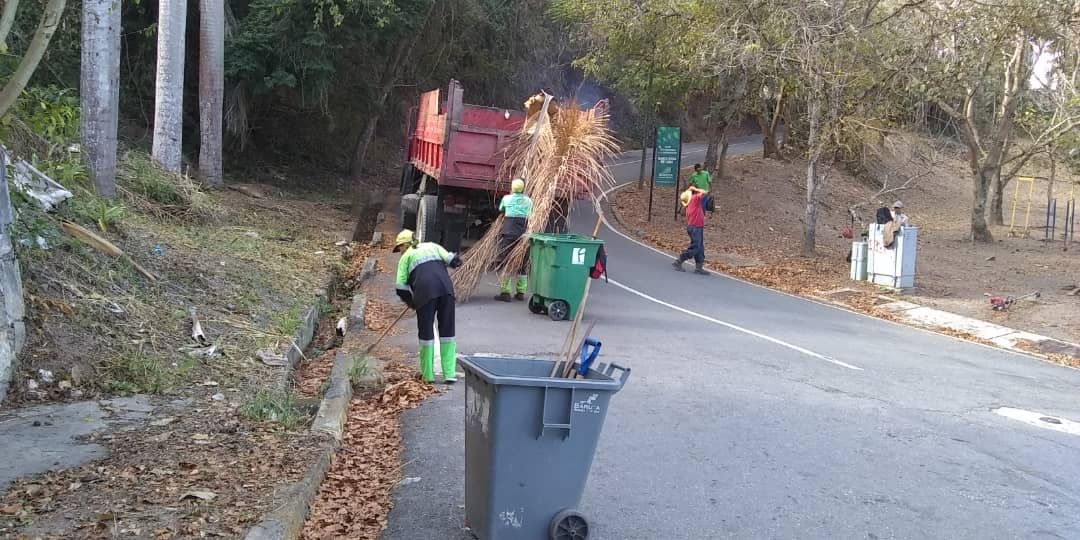 AlcaldiaBaruta's tweet photo. Hoy #26Feb nuestras cuadrillas junto a @fospuca realizan la recolección desecho vegetal y limpieza de nuestras áreas verdes para dar a nuestras vías el mantenimiento necesario para su movilidad. Esta vez iniciamos en #SanRoma https://t.co/U0NzVpTfFH