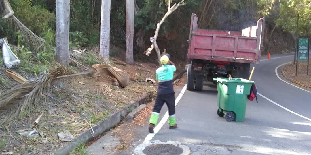 AlcaldiaBaruta's tweet photo. Hoy #26Feb nuestras cuadrillas junto a @fospuca realizan la recolección desecho vegetal y limpieza de nuestras áreas verdes para dar a nuestras vías el mantenimiento necesario para su movilidad. Esta vez iniciamos en #SanRoma https://t.co/U0NzVpTfFH