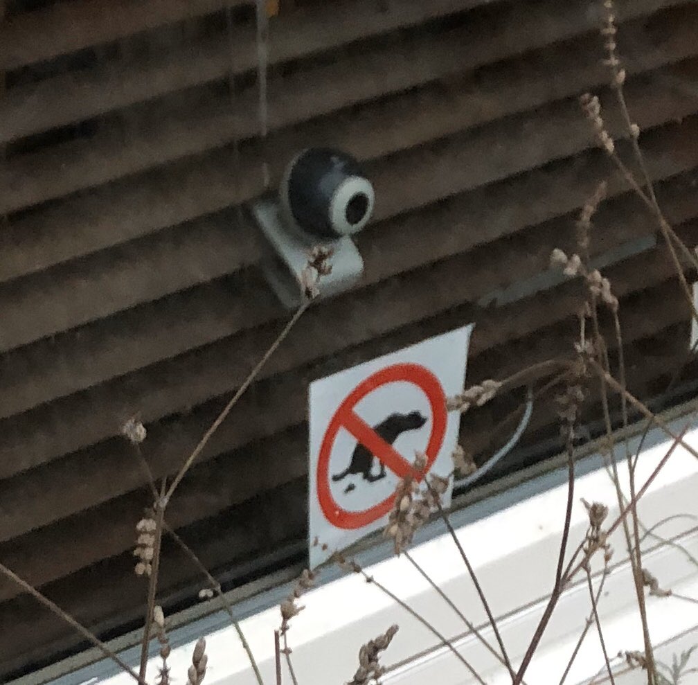 gregoryshapiro's tweet photo. #BigBrother Is Watching Your Dog Poop.
#DutchStuff #TypicalDutch #Hondepoep #dutchstreets #DutchCulture https://t.co/bLvJguBig3