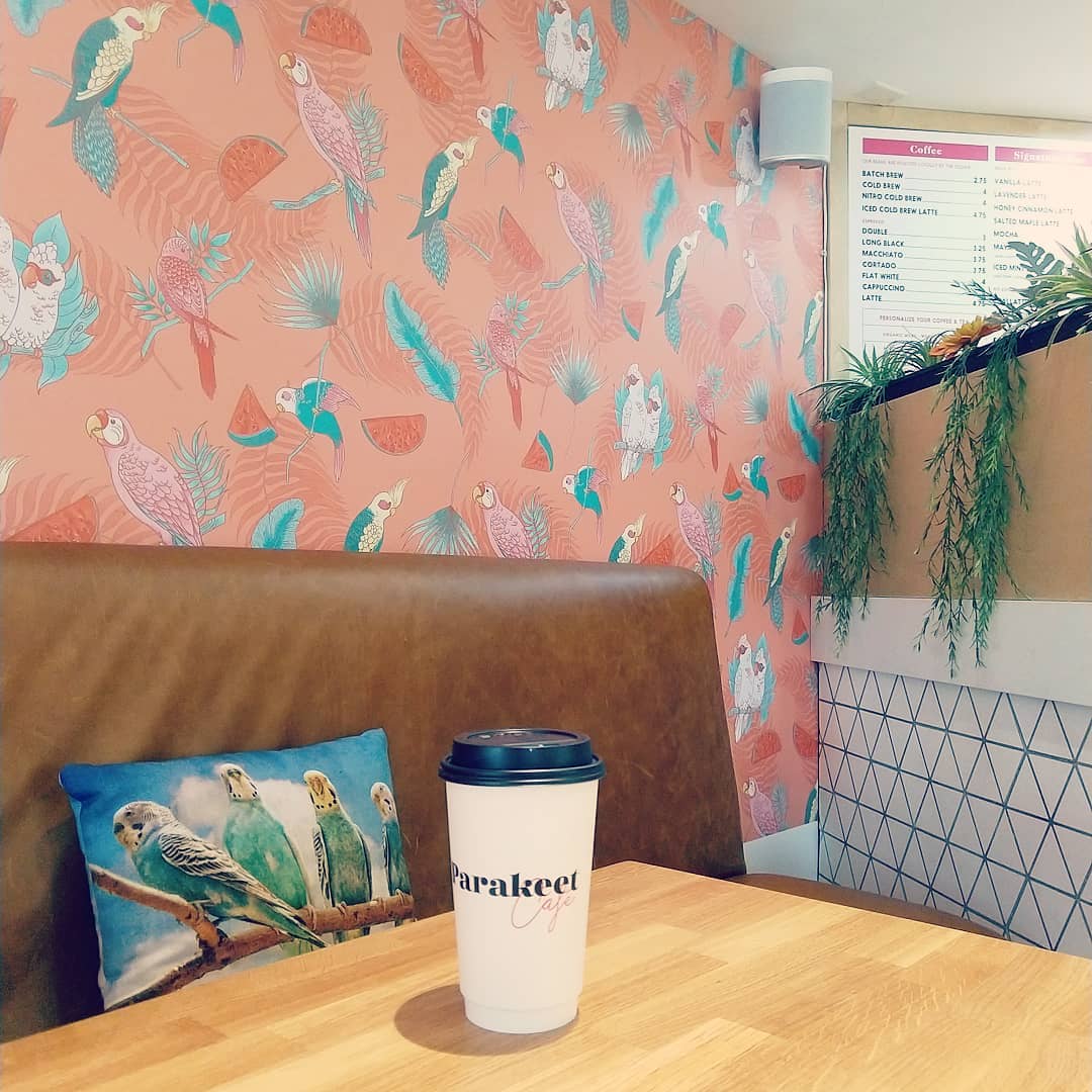 parakeetcafe's tweet photo. Now this is the spot. β¨β #FlockHere
π·: @mustgomego https://t.co/COMZZeGY8l