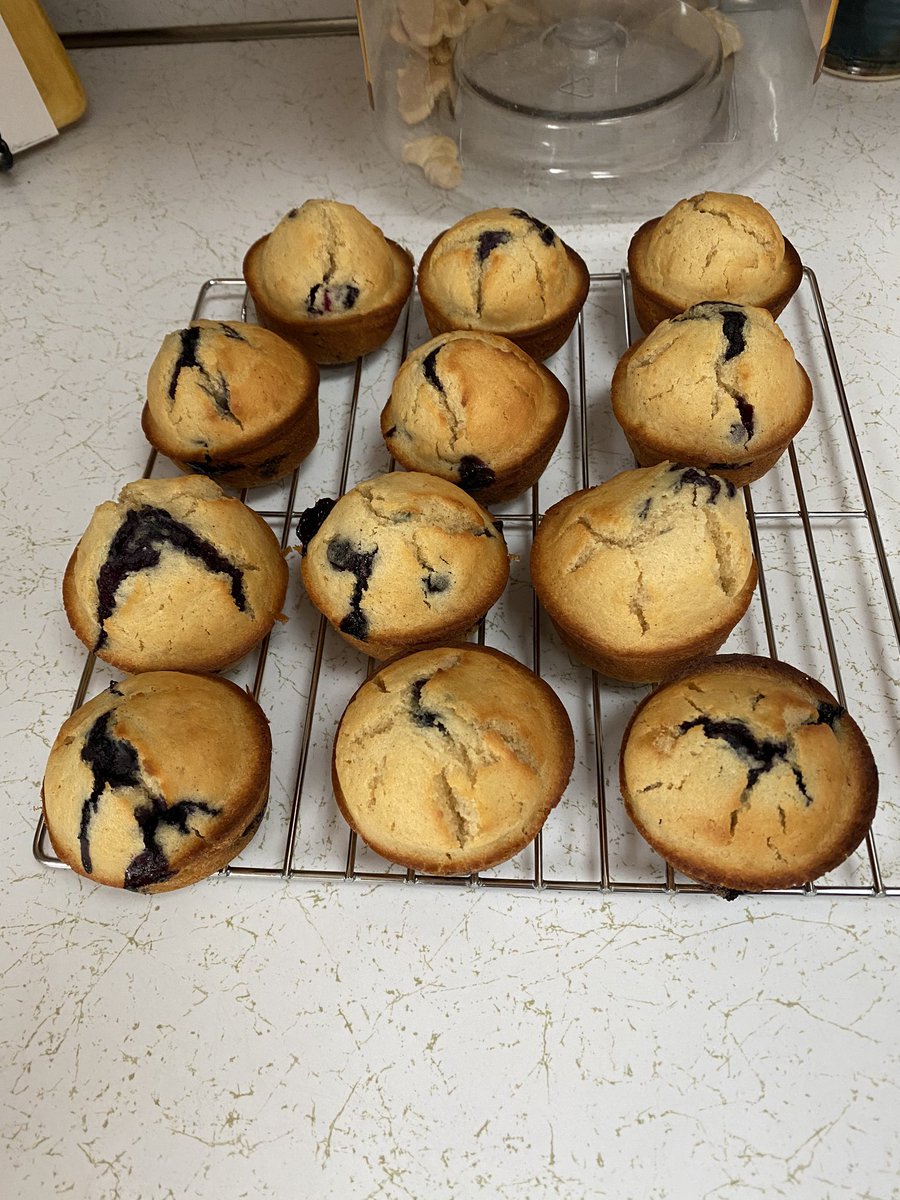 Snow day blueberry muffins🙂