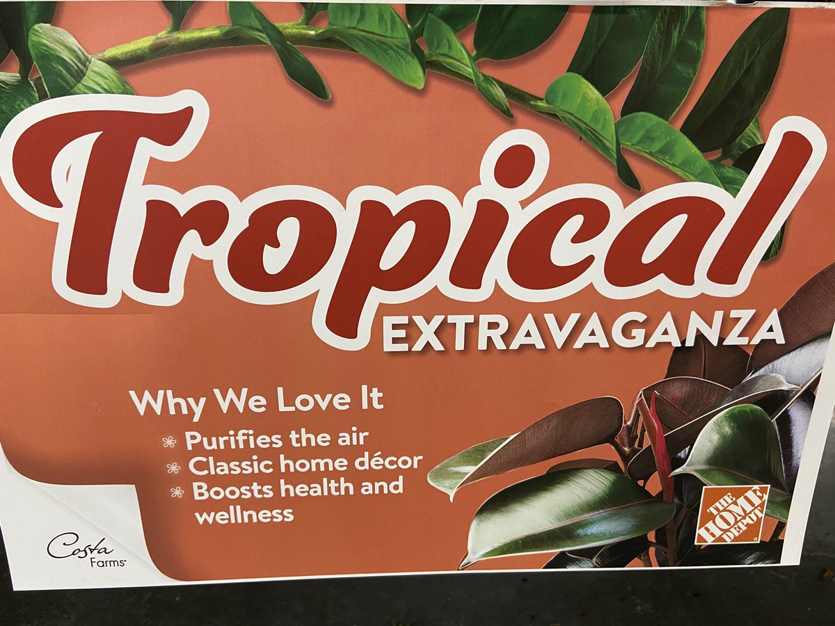 martyatlga's tweet photo. Collect create inspire with Marty Costa Farms Saturday feb 29 10 to 12 6986 Buckhead trending now ⁦@MoveandLose⁩ ⁦@freddyplants⁩ ⁦@SharptonDavid⁩ ⁦@Mr_OREO78⁩ ⁦@daniel_opene1⁩ ⁦@thehomedepot⁩⁦@CoryDan25476956⁩ ⁦@CorryMiller4⁩ https://t.co/fCWMnBn1v1