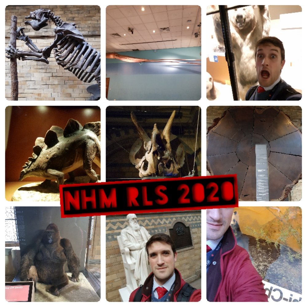 RLSChemistry tweet media