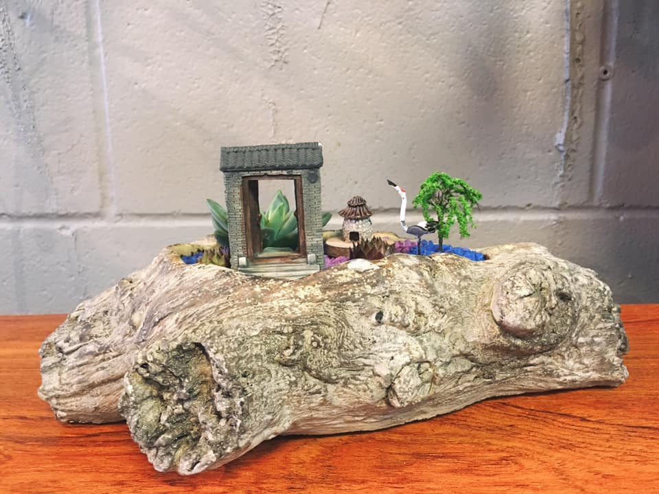 Bring some serenity to your office. 

Stop into Better home decoration &amp; gift and check out their selection of succulents. 

670 Victoria Street