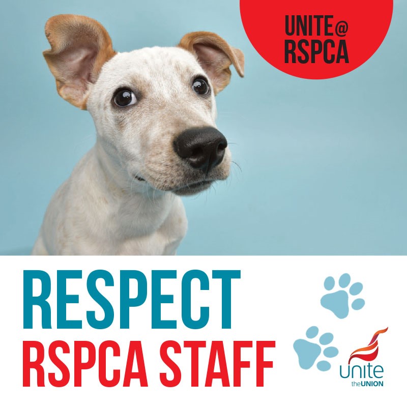 @unitetheunion image included with tweet