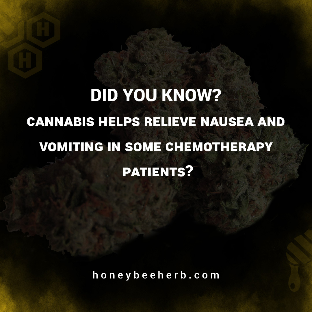 Honeybee_Herb's tweet photo. Did you know that cannabis helps relieve nausea and vomiting in some chemotherapy patients?

#honeybeeherb #cannabis #headshop #instacannabis #vapeshop #bongs #marijuana #instamarijuana #cbd #enail #dabs #dabsrus #herb #smokingpipe #weed #smoke #facts #fact https://t.co/4MpUFJnco1