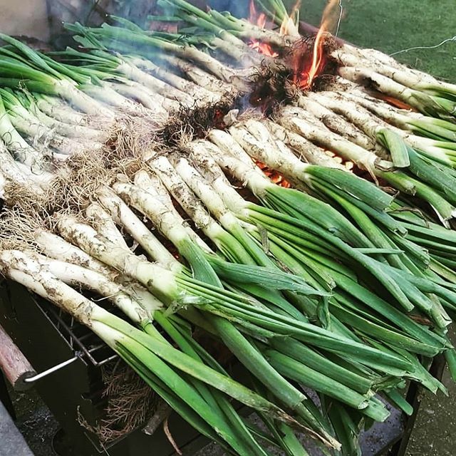 LaServiTeca's tweet photo. ✳️Fas calçotada? ✳️
Els millors calçots del Maresme.
Els vols al moment o els vols encarregar?.
. .
.
#somteca #tecabona #calçotsdelmaresme #calçotada #proximitat #qualitat #maresme #quebotot https://t.co/BfdMgRscgw https://t.co/nh3MZRwmta