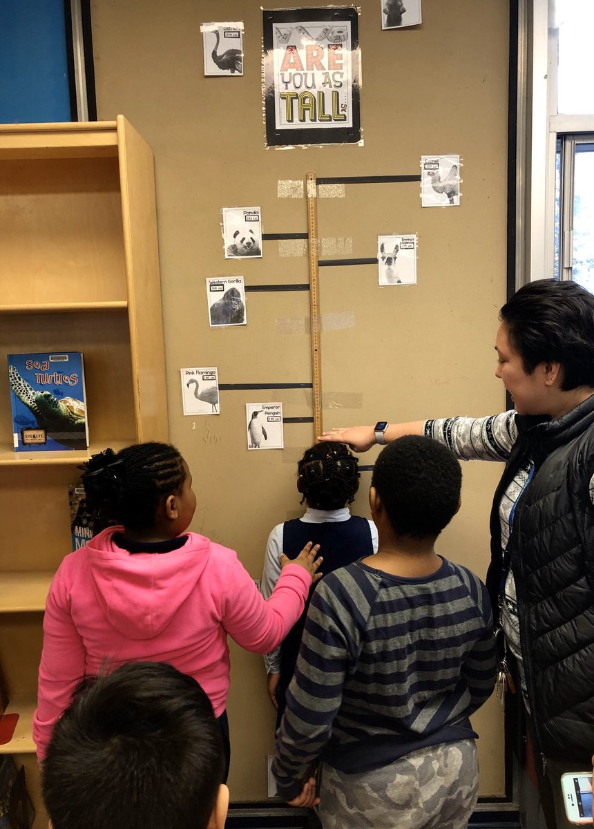 Yorkwoods PS (@yorkwoodsps) on Twitter photo "Are You As Tall As..." display in the Library starts so many discussions...extensions...research...math...and so much more!
<a href="/LC2_TDSB/">Learning Centre 2</a> <a href="/tdsb_helen/">Helen Fisher</a> "Are You As Tall As..." display in the Library starts so many discussions...extensions...research...math...and so much more!
<a href="/LC2_TDSB/">Learning Centre 2</a> <a href="/tdsb_helen/">Helen Fisher</a>