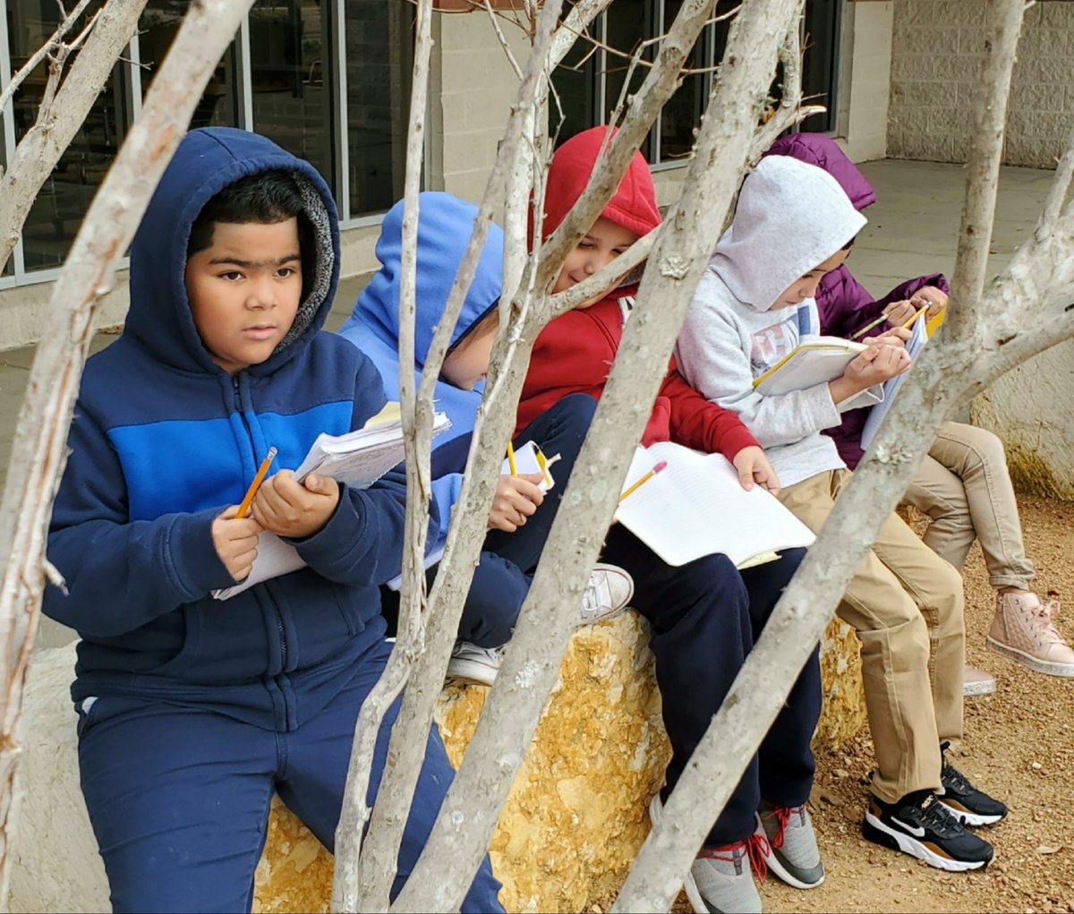 Linda Chavez tweet media